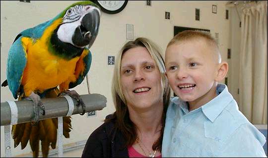 英国聪明鹦鹉教会4岁孤独症男童开口说话(图)