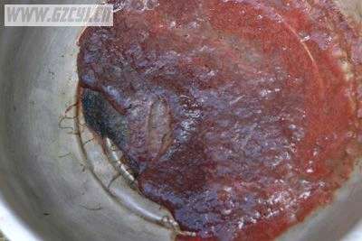 未知生物不停蠕动疑为古籍所载“鬼屎”(图)--新闻中心