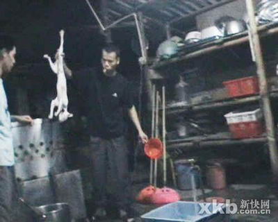 http://img.jiaodong.net/pic/0/10/04/09/10040925_572251.jpg