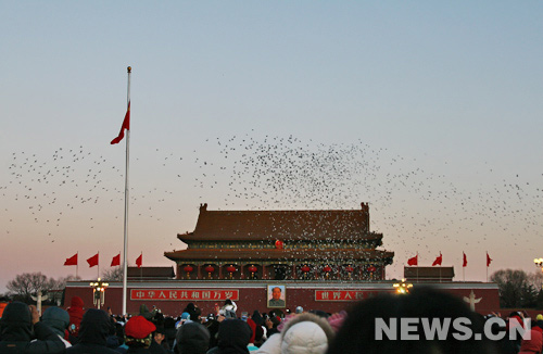 万羽和平鸽伴随着国歌从金水桥东西两侧同时放飞,在天安门广场上空