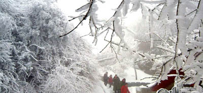 的情趣,每一片雪花都有一幕美好的回忆. 小时候我喜欢雪,长高清图片