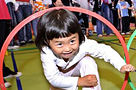 ͼƬ����
