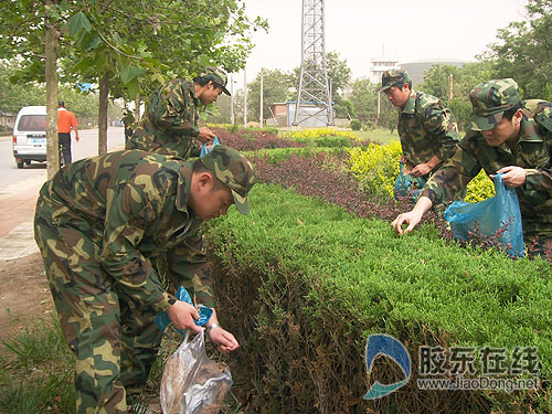 世界环境日,幸福环保志愿者绿色家园行动-环保