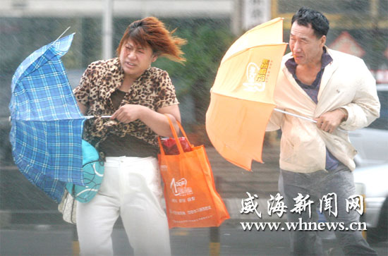 威海立秋后最大一次降雨 平均降雨量67毫米-雨