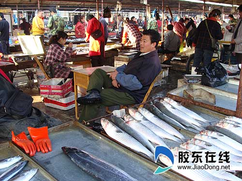 莱州海鲜市场_海鲜市场_塘沽海鲜市场(3)