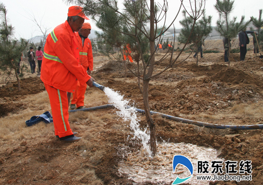 我市公路绿化工作展开 全年将栽植苗木10万株