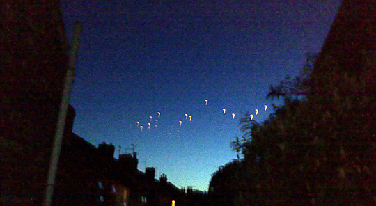 10479277_096740.jpg