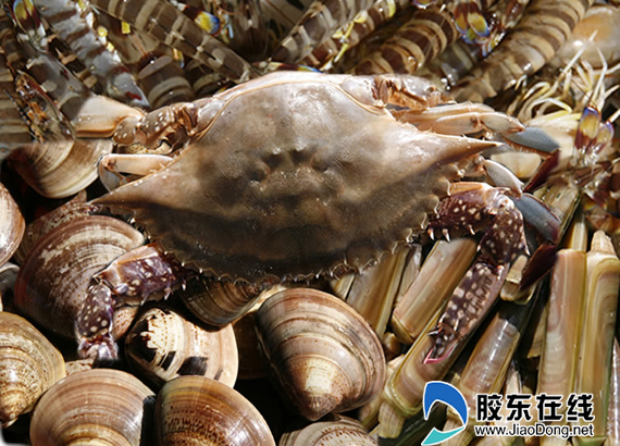 四海鲜_海鲜图片大全_海鲜面