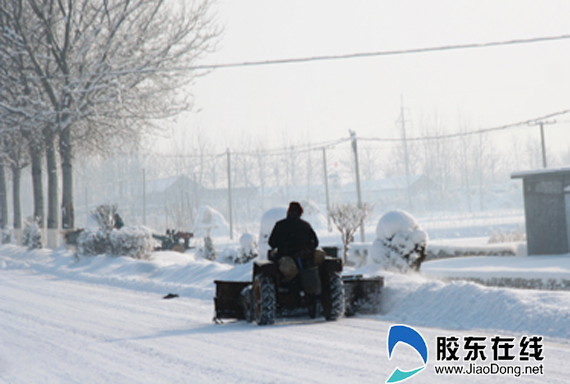 胶东在线网1月6日讯(通讯员 亓建平 袁圣凯 李娜) 1月3日晚至5日,全市大面积降雪,气象部门发布了寒潮黄色、暴雪黄色、道路结冰橙色预警,205、206、207、302等国省道以及市区主要路段均出现严重积雪,部分路段积雪厚度达30厘米,道路能见度低,严重影响车辆和行人通行安全。为保证市民出行畅通,确保道路交通安全,全市各级交警部门以雪为令,积极应对,迅速启动恶劣天气应急处置预案,全部警力出动,在城市的各个路口都可以看到雪中执勤的烟台交警,确保了全市道路安全、畅通。辖区内除威乌、同三、绕城高速公路临时