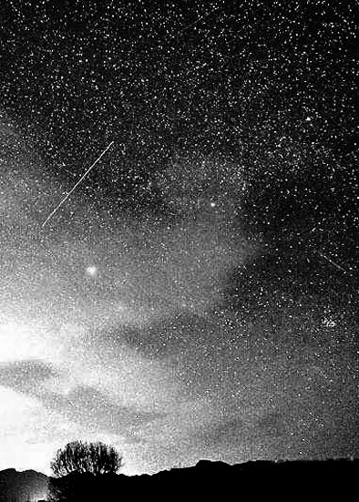 虎年虽只354天却多奇观流星雨月偏食轮番上演 山东新闻 烟台新闻网 胶东在线新闻中心_国家批准的重点新闻网站