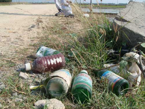 海南毒豇豆事件调查:高毒农药仍有售(图) 各地