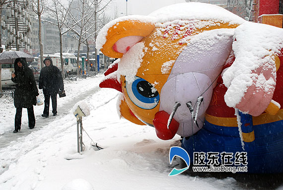 二月二龙抬头 港城大雪飘飞(图) 日常生活 烟台