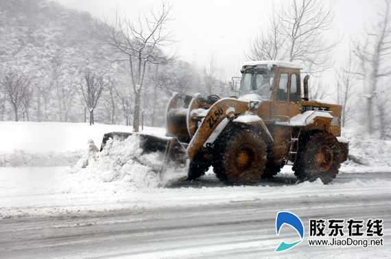 龙抬头雪打头 港城晨中白掩春(图)