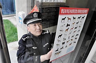 青岛今起严查35种禁养犬早晚时段将重点严查