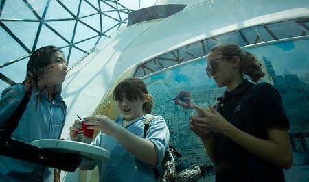 盖章世博护照网上推销 男子造假章卖护照被抓