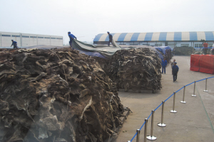 东阿阿胶回应 驴皮造假 事件 全国13个养驴基地