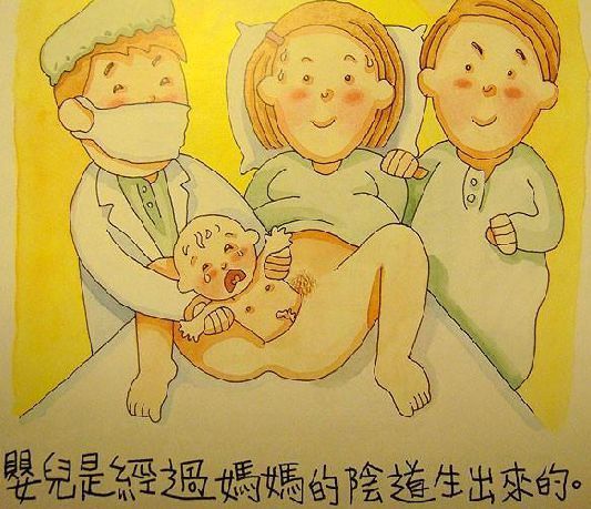 香港性教育图画书_健康图吧