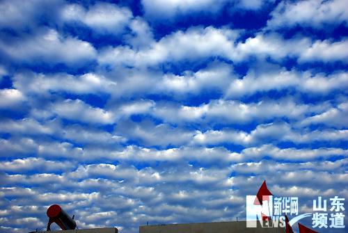 山东枣庄天空出现鱼鳞云(组图) 各地新闻 烟台