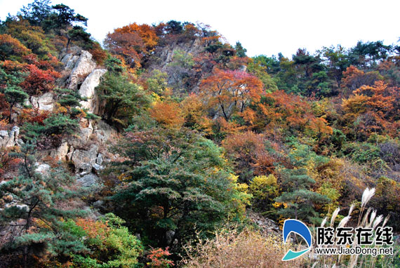 烟台昆嵛山