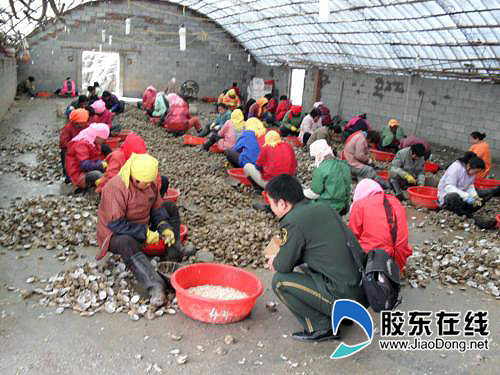 外来人口社会_...河东分局在流动人口集中地区设立外来人口流动服务站.-社会