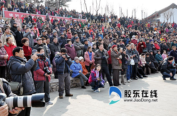 乡村管乐王亮相 蓬莱长杆号吹进烟台庙会