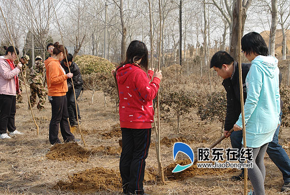 黄海路街道牵手烟台大学开展植树护绿活动(图