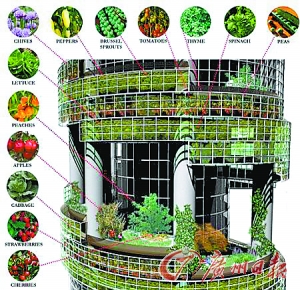 美科学家要建造垂直农场:在摩天大楼里种庄稼