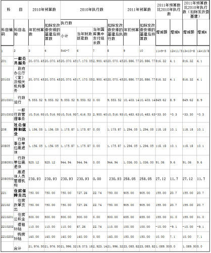 收入支出明细表模板_收入支出预算表(2)