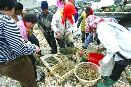 烟台海和海鲜_烟台海鲜_海鲜大餐图片(4)