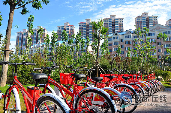 逛荡河畔赏景健身好去处(图) 时政要闻 烟台新