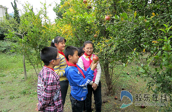 新建街小学开展感受家乡魅力实践活动 科教文