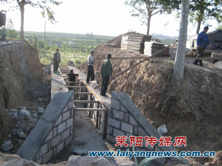 烟台 莱阳 胶东在线 广电 视频 烟台县市区