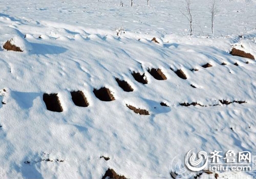 犀利哥后又现返古哥 冰天雪地穿草鞋睡草棚