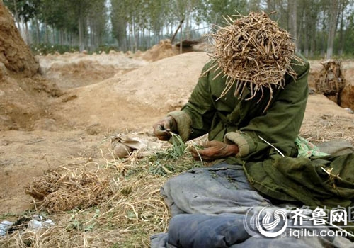 犀利哥后又现返古哥 冰天雪地穿草鞋睡草棚