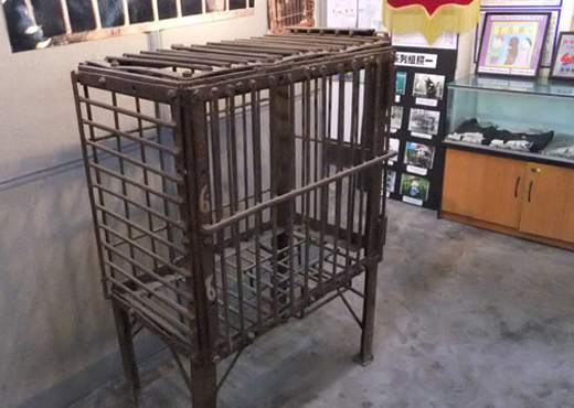 提要:活熊取胆的替代品“人工熊胆”的研制已经持续了将近三十年。和人工熊胆一起陆续进入研究的,人工麝香、人工牛黄、人工虎骨,上世纪90年代末都纷纷投产,人工熊胆难道一直没研究出来吗? 【编者按:中国广播网2011年6月25日的消息《活熊取胆暴利暗藏隐忧人工熊胆研制三十年无法获批》,节选部分内容,以下为文章正文】 熊胆粉,用熊的胆汁烘干制成;插管引流技术,上世纪80年代从朝鲜传入中国,从黑熊的胆囊插入导管直接引出源源不断的胆汁。作为二级保护动物,野生黑熊在我国禁止猎杀,人工