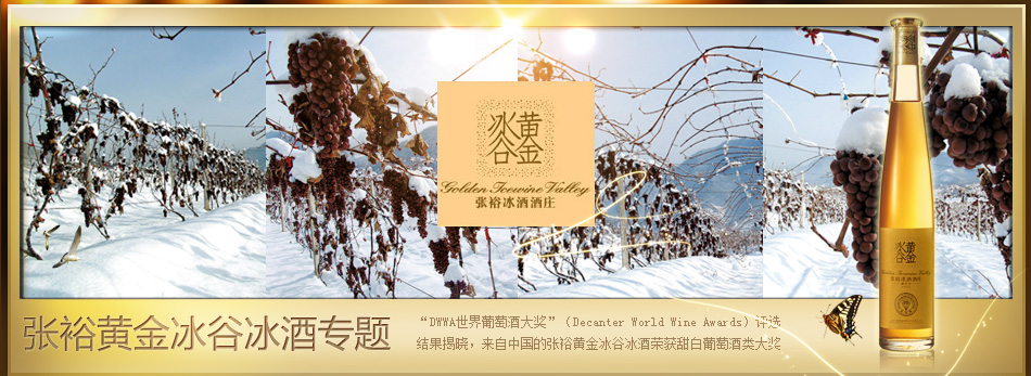 张裕黄金冰谷冰酒专题