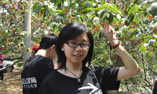 6月3日弘文烟台在职研究生校友会樱桃采摘活