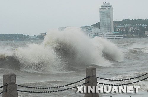 烟台海洋人口_烟台海昌鲸鲨馆\