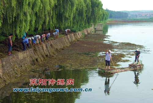 菱角人口_菱角图片