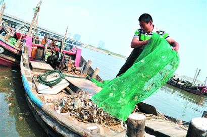 青岛胶南海鲜市场_青岛海鲜批发市场_威海荣成海鲜市场(4)