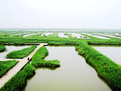 滨海湿地 渔 乐无穷 各地新闻 烟台新闻网 胶东