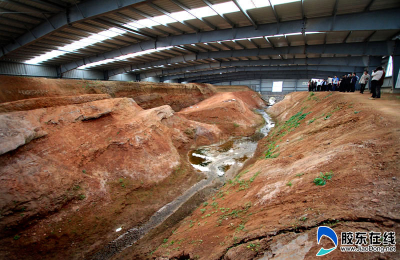 高清图:博友探访莱阳白垩纪国家恐龙地质公园