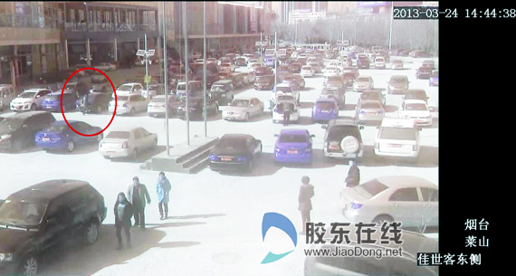 莱山天网监控+擒住高科技小偷(图)