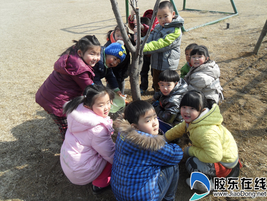 胶东在线网4月2日讯(通讯员 周红波) 阳春三月,大地乍暖还寒,东方海洋幼儿园小朋友每天都自发的来到他们亲自栽种的小树旁,锄草、浇水,与小树亲切对话,仿佛面对的是生活中一个不可缺少的好朋友。 这里的老师深知植树节只有一天,而绿化环境却是一个长期的过程,必须通过潜移默化的教育,一点一滴揉进孩子的心灵。