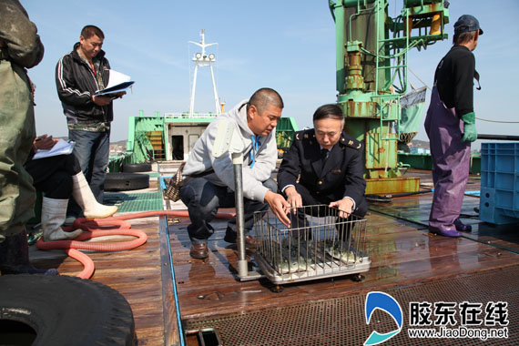 烟台检验检疫局携手网上民声共促发展__网上