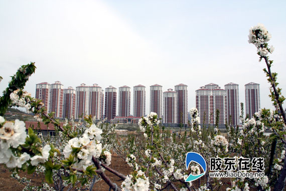 石家庄地图_石家庄中低收入住房(3)