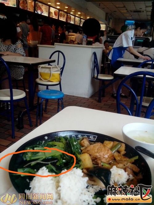 快餐店饭菜现10厘米长蚯蚓 网友:当荤菜用(图)