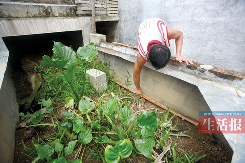 大学生遇车祸自己砍掉左腿 在家养殖蜈蚣致富
