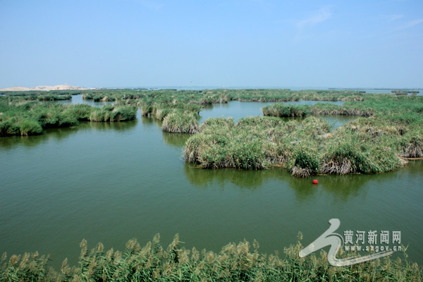 走进中国十大魅力休闲旅游湖泊之一:沙湖