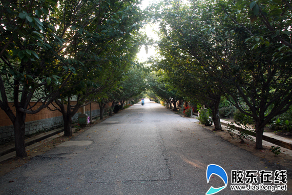 莱阳打造丁字湾度假区 系国家战略用海区域_